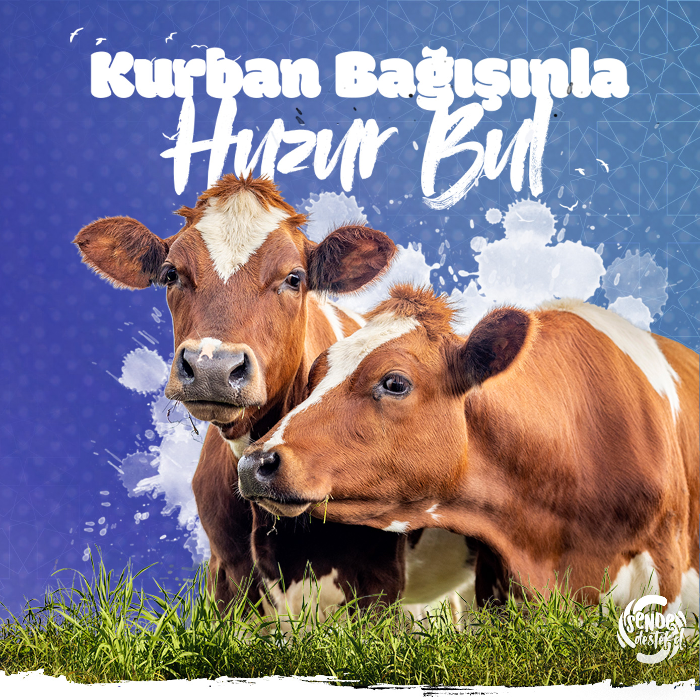 Sevgiyle Paylaşmak, Mutluluğu Katlamak için Kurban Bağışı